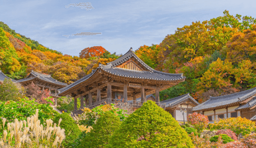 2023 가을 단풍 여행 명소 추천