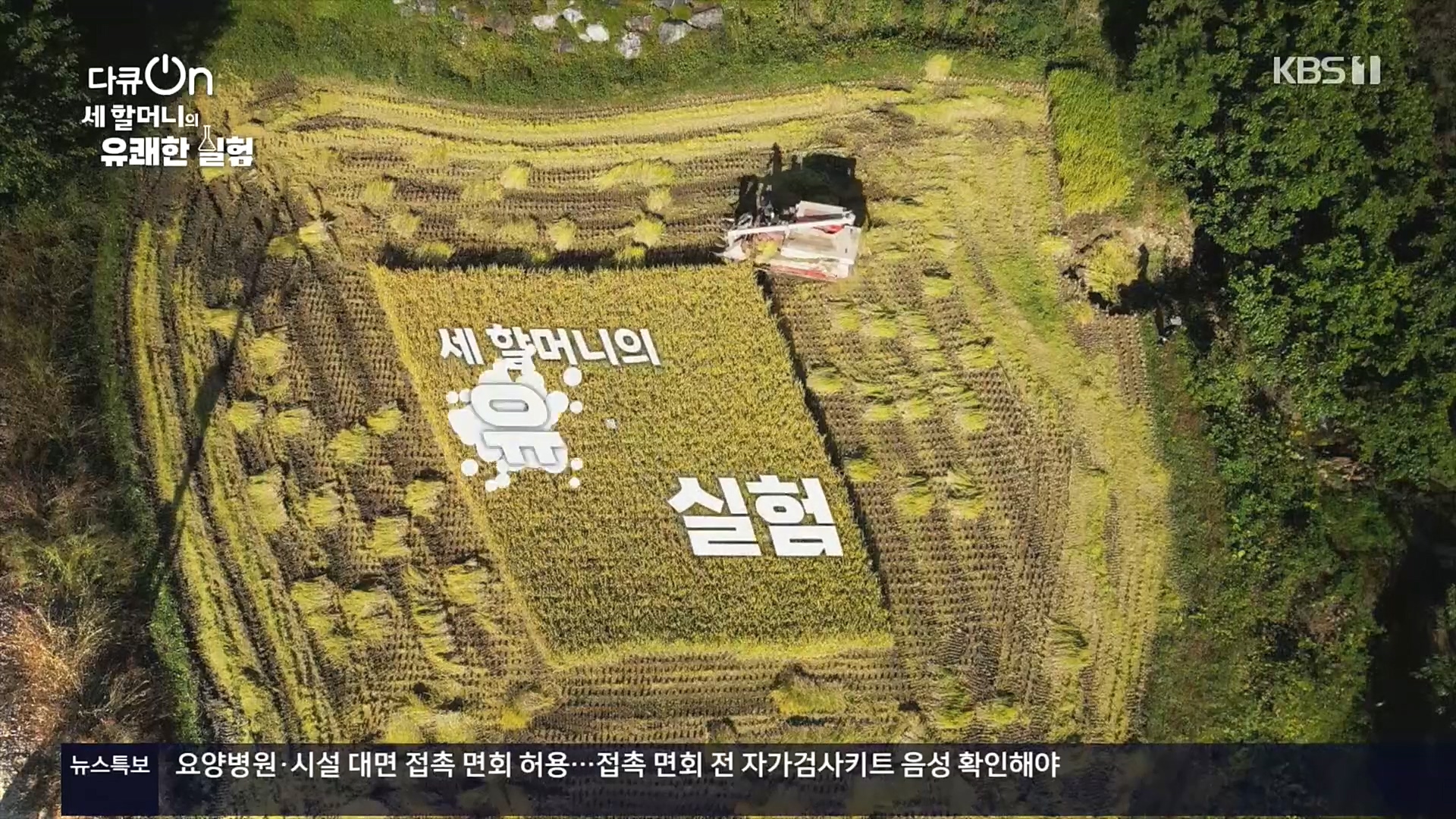 다큐 On.E166.221028p.H264-F1RST.mp4_20221031_194220.687.jpg