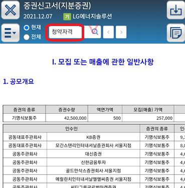 LG에너지솔루션-증권신고서-청약자격-검색