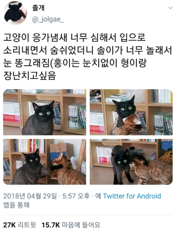  고양이 응가냄새 너무 심해서 입으로 소리내면서 숨쉬었더니.twt