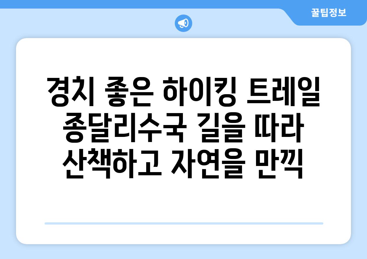 경치 좋은 하이킹 트레일 종달리수국 길을 따라 산책하고 자연을 만끽