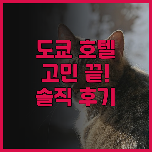 도쿄 호텔 고민 끝! 호텔 라이브맥스