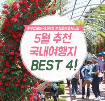 비행기 없이 떠나는 국내 숨은 여행지 발견하는 특별한 방법_14