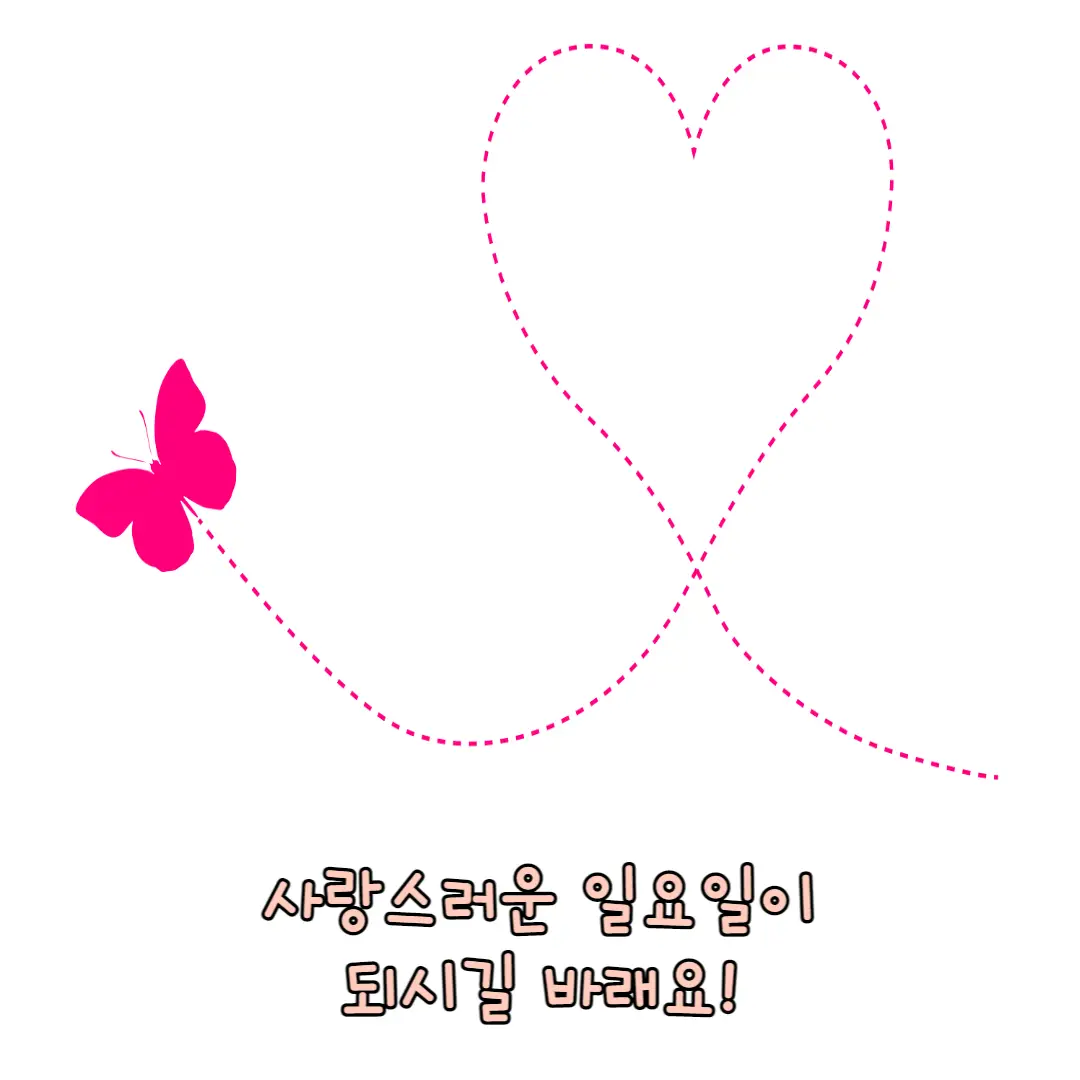 일요일 좋은 사진