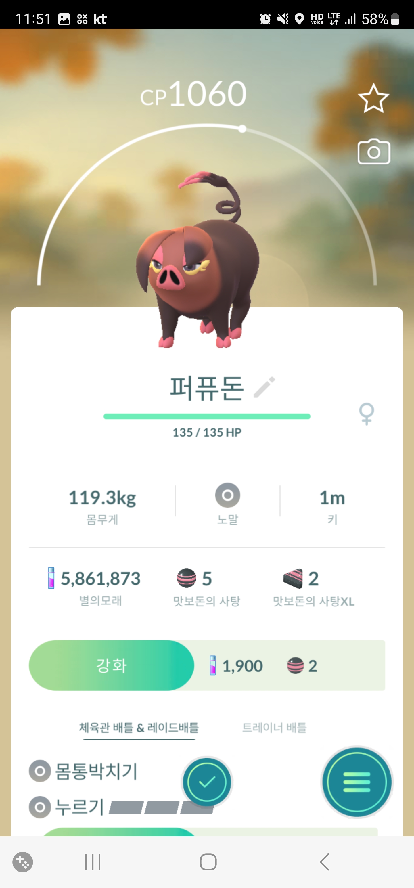  포켓몬고]맛보돈 진화