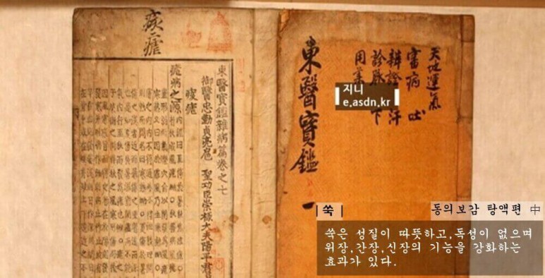 쑥의 효능 11가지와 부작용&#44;보관법&#44;쑥 쌂는법 총정리...약초이야기 육십두번째