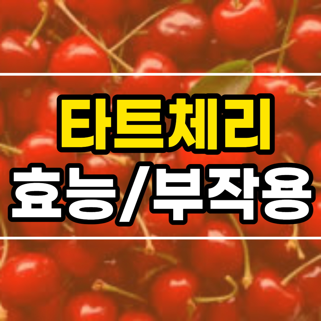  타트체리 효능 10가지 및 부작용