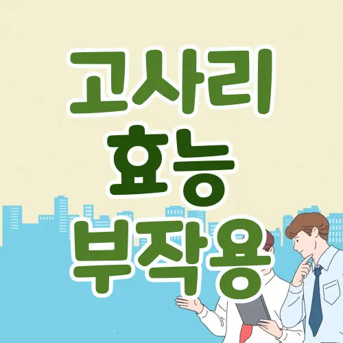 고사리 효능