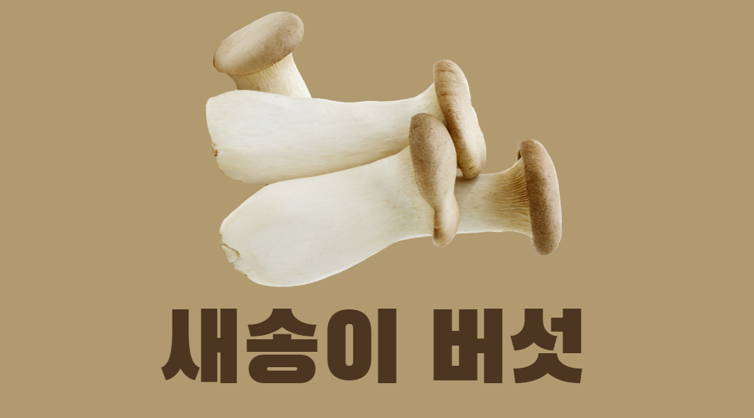 나만 모르는 새송이버섯 효능