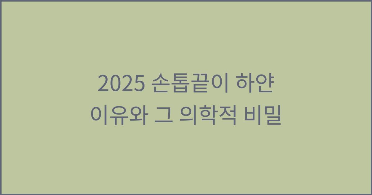 2025 손톱끝이 하얀이유