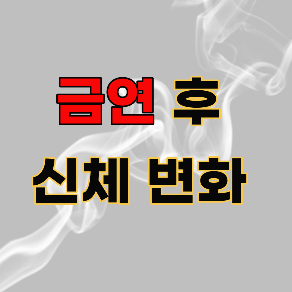  금연후 신체변화, 금연하면 나타나는 놀라운 변화! (시간대별 정리)