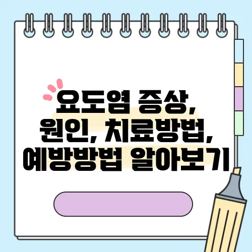 요도염 증상, 원인, 치료방법, 예방방법 알아보기