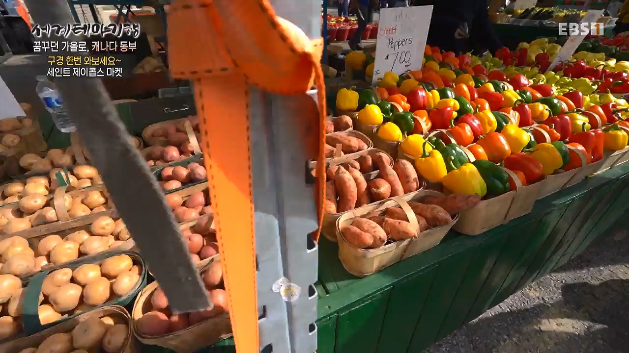 세상의모든기행꿈꾸던 가을로 캐나다 동부-다시 올 이유, 단풍국.mp4_20231127_205050.323.jpg