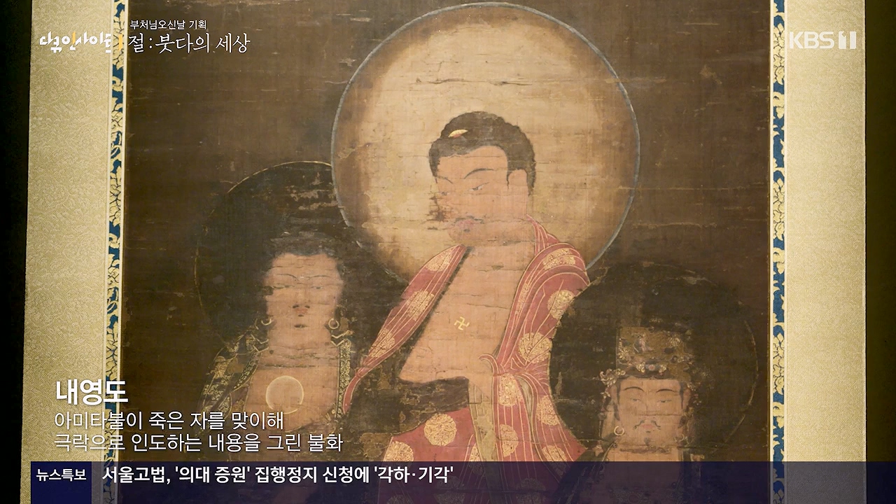 다큐 인사이트.E185.240517p-NEXT.mp4_20240517_202645.960.jpg