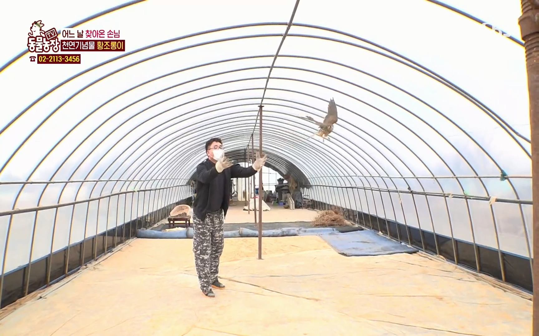 TV 동물농장.E1061.220320p.H264-F1RST.mp4_20220320_183559.620.jpg