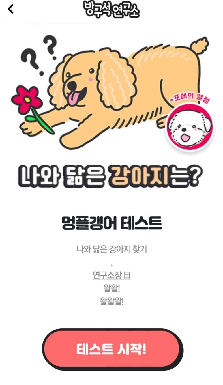 - 내가 강아지라면 (유기동물 11번가 주소 바로가기) [테스트] 방구석 연구소 테스트 3