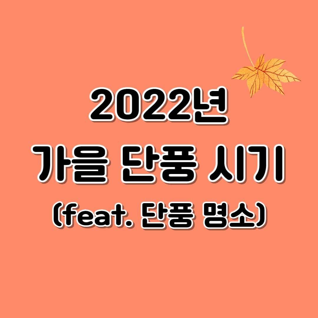 2022 가을 단풍 시기