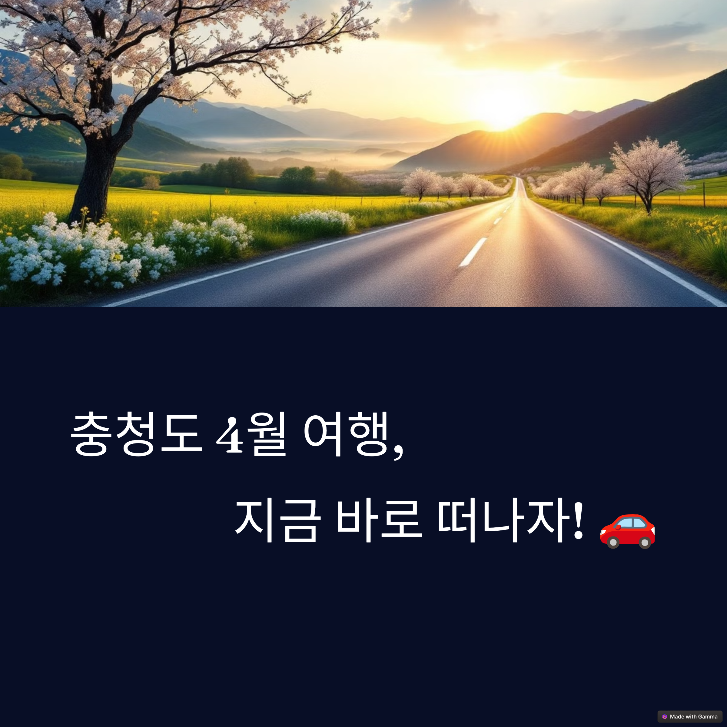 여행 이미지