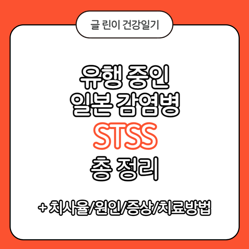  일본 감염병 STSS 총 정리