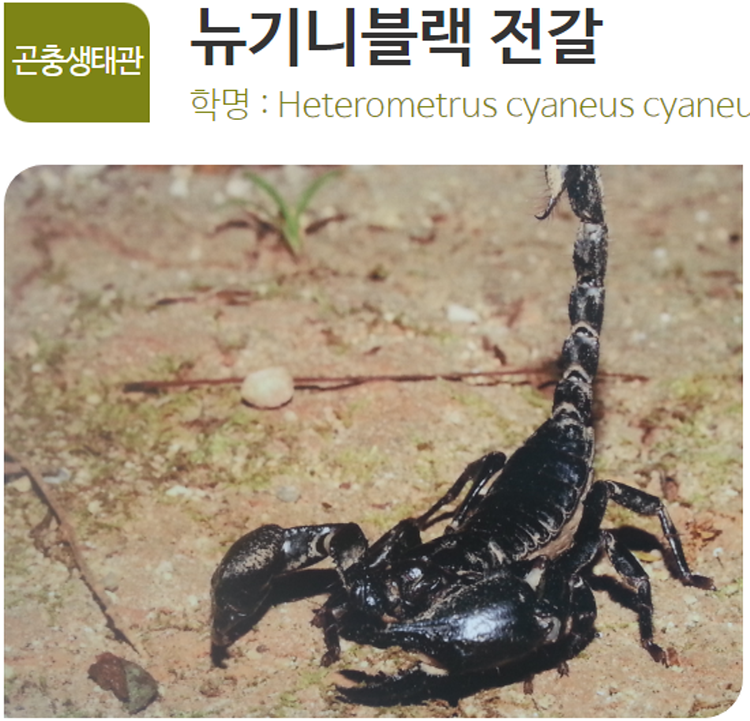 아산 생태곤충원