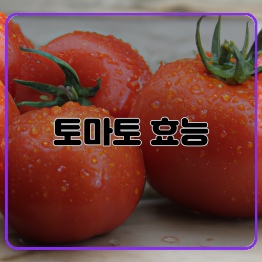 토마토&#44; 효능&#44; 한글