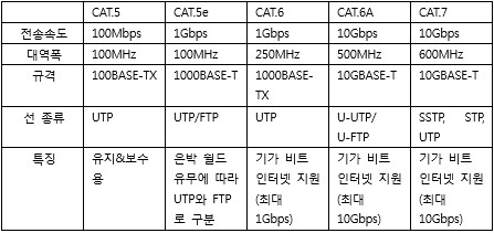 CAT 타입별 전송속도와 대역폭 차이