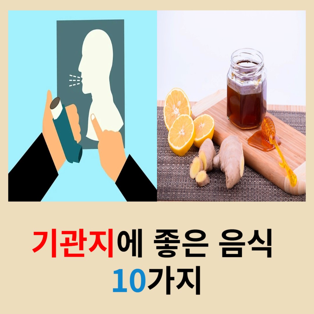 기관지에-좋은-음식-10가지