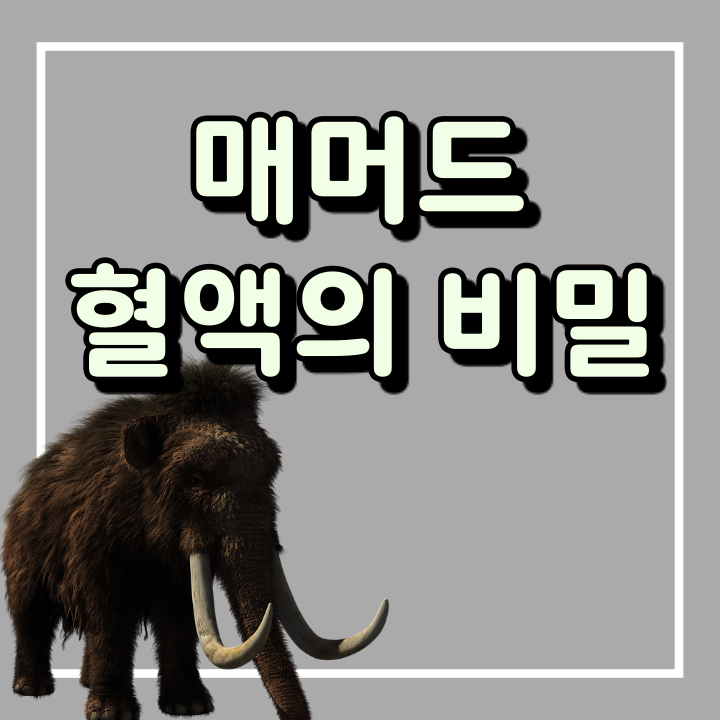  매머드가 빙하기 추위를 이겨낸 이유