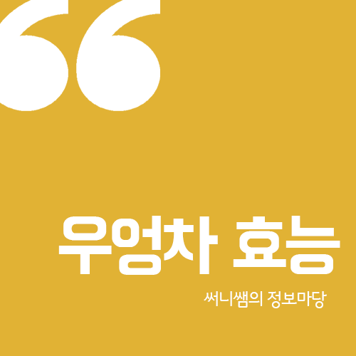  우엉차 효능 자세히 알아봐요