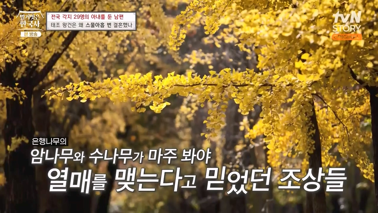 벌거벗은 한국사.E78.231019p-NEXT.mp4_20240522_195706.556.jpg