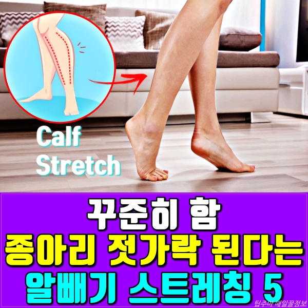 종아리 알빼는 스트레칭 운동법,종아리 알 빼기,종아리 살빼기,다이어트,팁줌 매일꿀정보