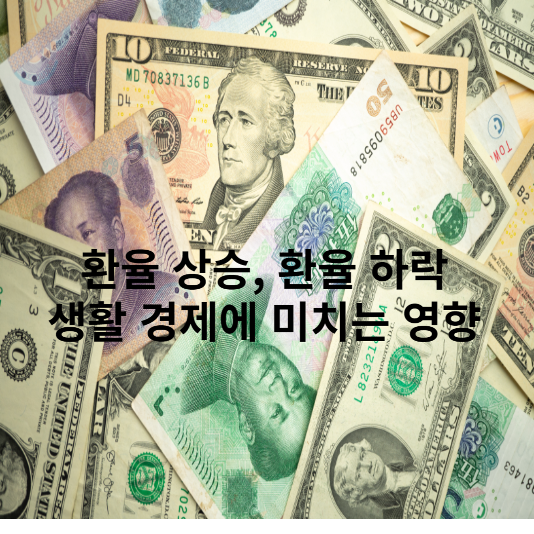 환율상승-환율하락