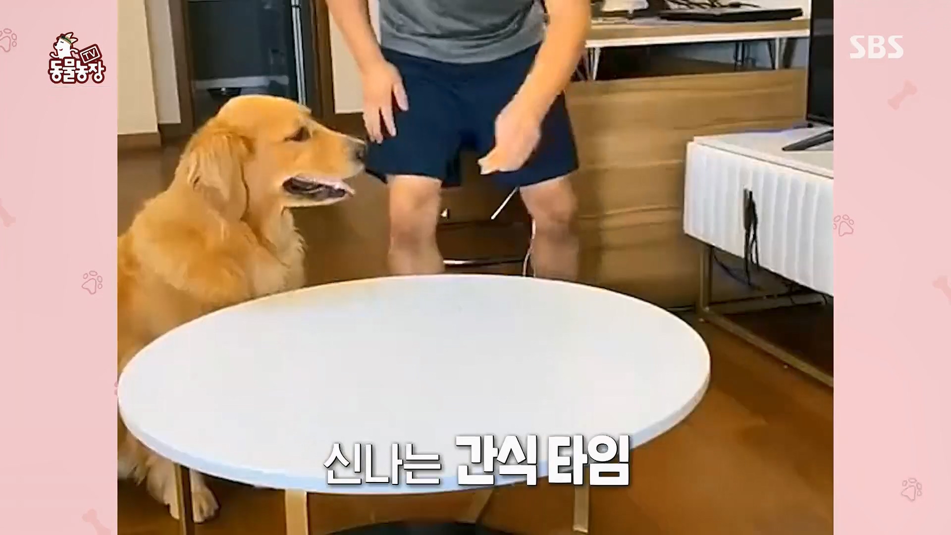 TV 동물농장.E1180.240714p.H264-F1RST.mp4_20240715_201723.501.jpg