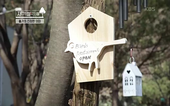 [3회] 자연의 철학자들 - KBS새처럼 살고 싶어라] 자연이라는 위대한 법당에서 숲의 울림, 새들의 소리를 들으며 깨달음을 얻은 도연 스님.ts_20220320_153609.135.jpg