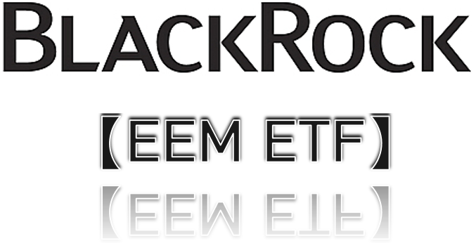  EEM ETF _ 이머징마켓(신흥시장) 투자 이걸로는 하지 마세요!!