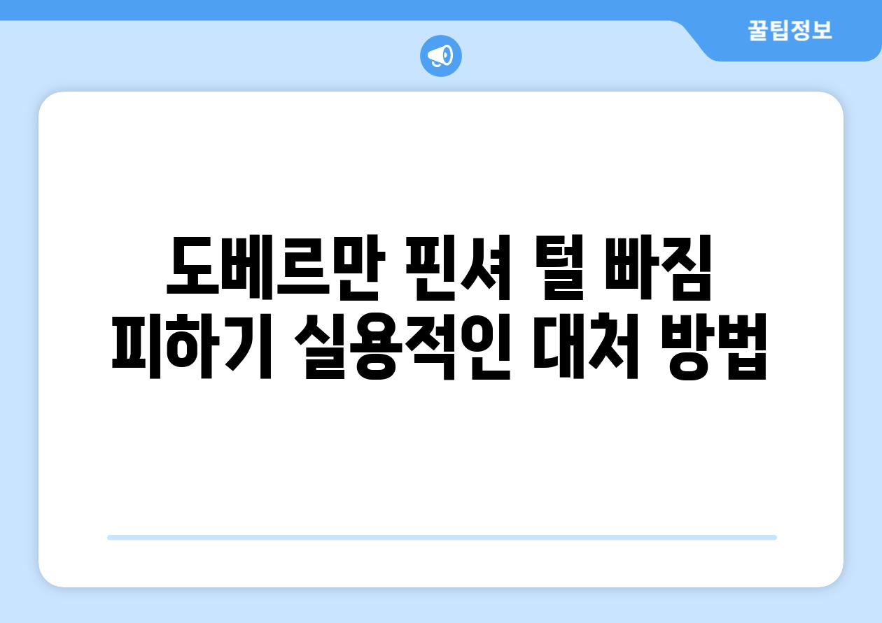 도베르만 핀셔 털 빠짐 피하기 실용적인 대처 방법