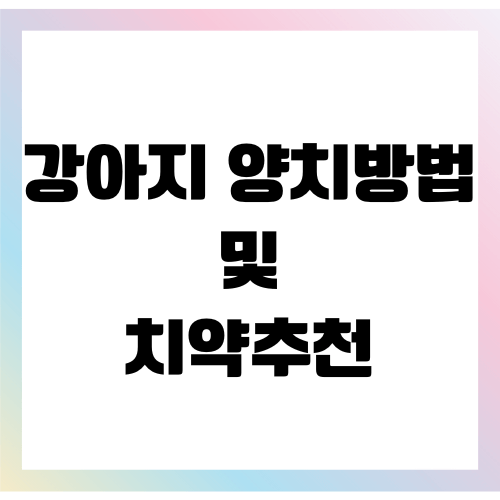 강아지 양치방법, 치약 추천