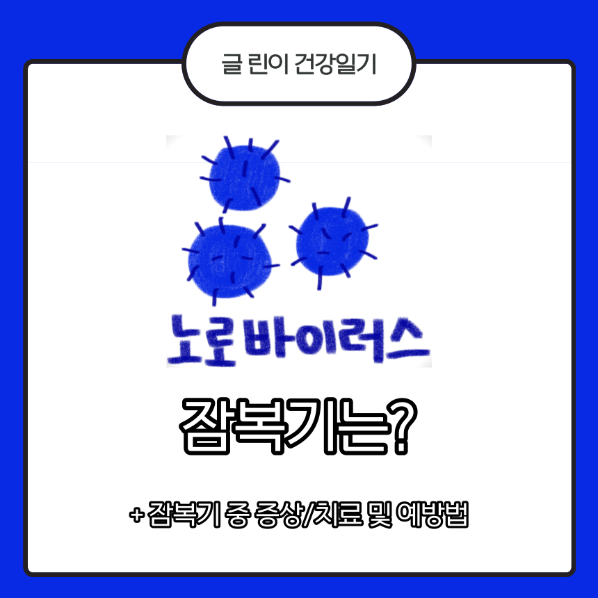  노로바이러스 잠복기는?