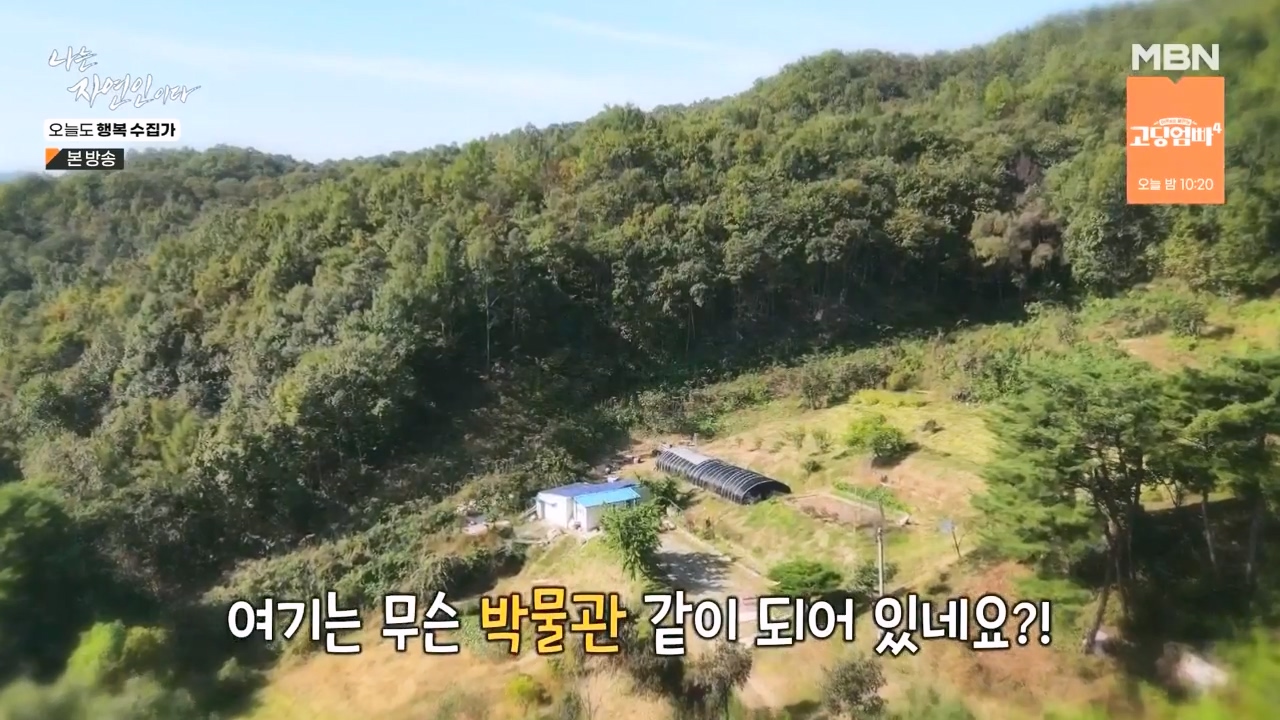 나는 자연인이다.E578.231102p-NEXT.mp4_20231102_202926.342.jpg