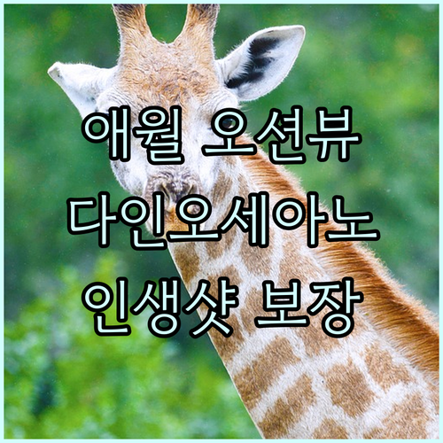 다인오세아노호텔! 애월 해안도로 뷰 