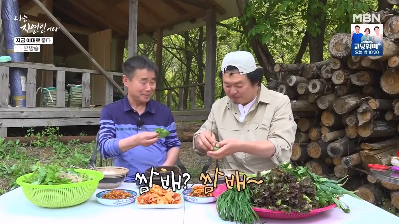 나는 자연인이다.E605.240516p-NEXT.mp4_20240516_194928.199.jpg