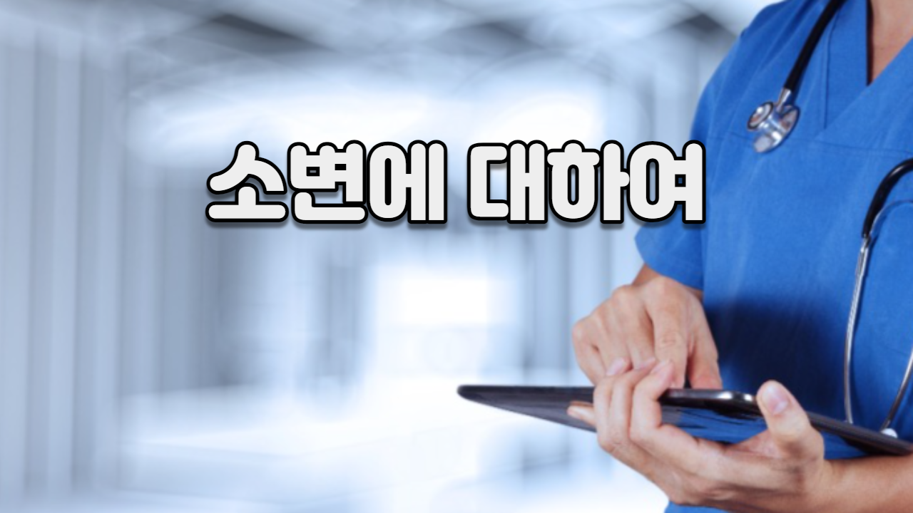  소변에 대하여