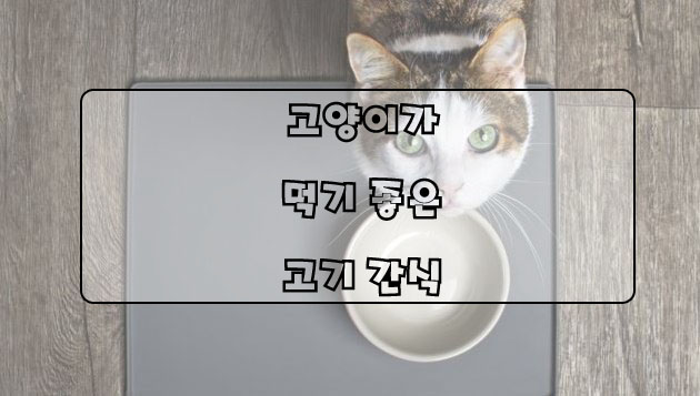  고양이 건강에 좋은 음식