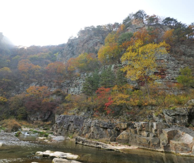정선 가볼만한곳