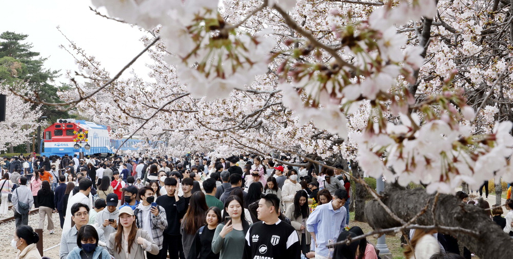 진해 군항제 벚꽃축제 안내 (2023 최신버전) 61