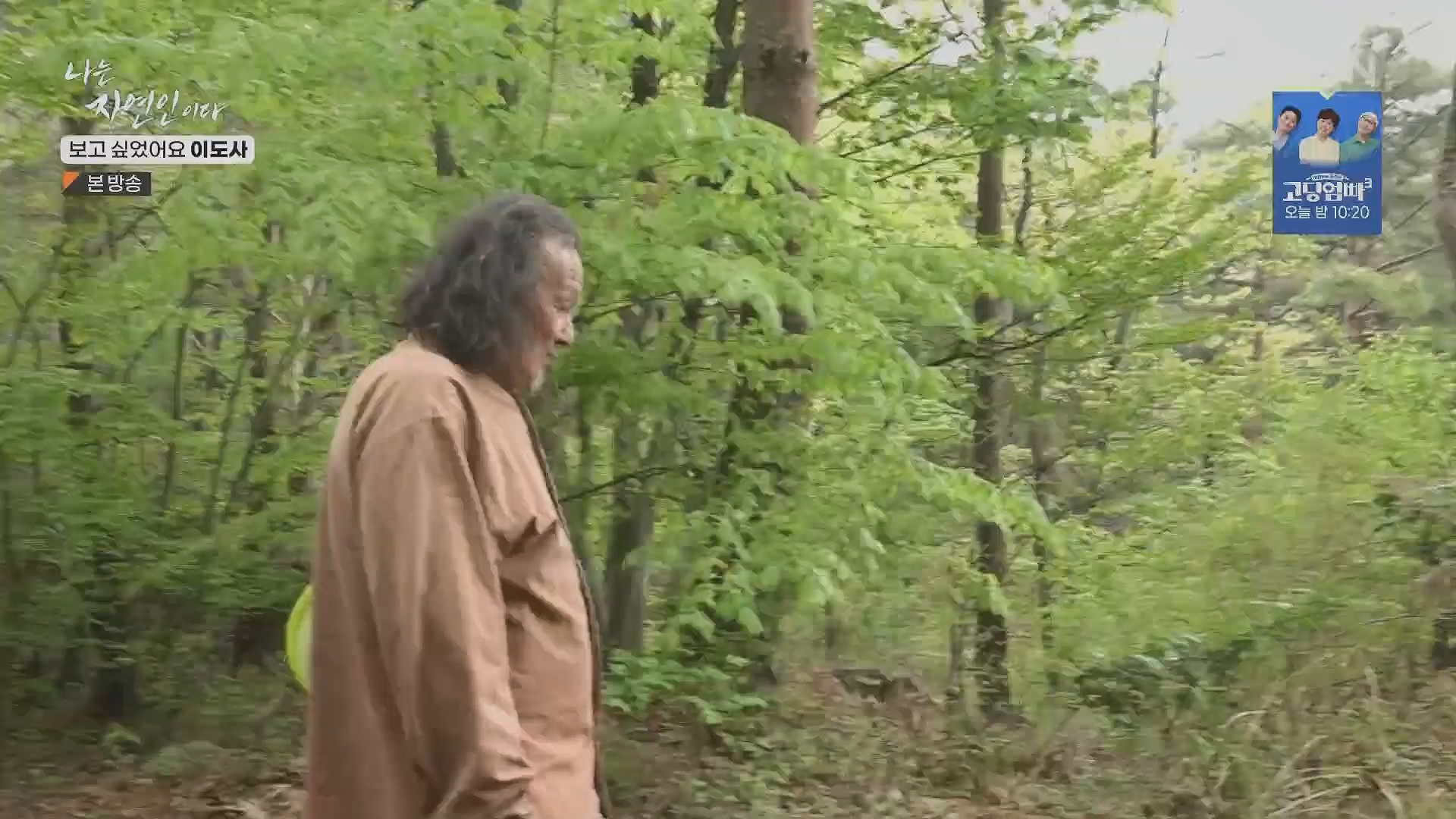 나는 자연인이다.E553.230510p.H264-F1RST.mp4_20230511_195234.363.jpg