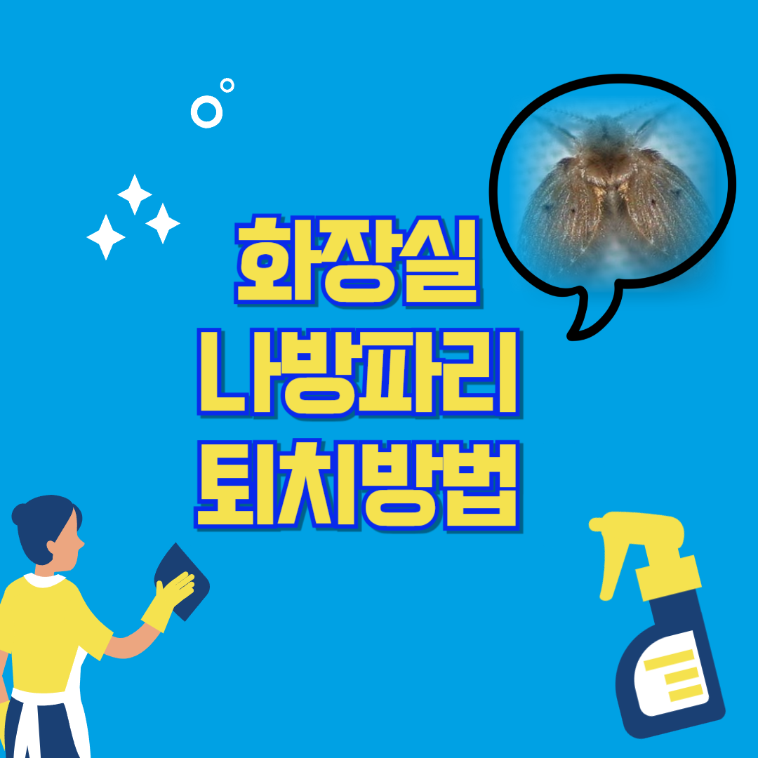 화장실 나방파리 퇴치법 사진