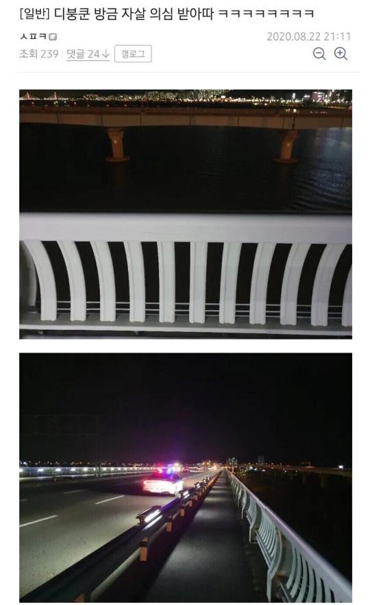 ㅈㅅ 의심받은 디씨인과 그 후기