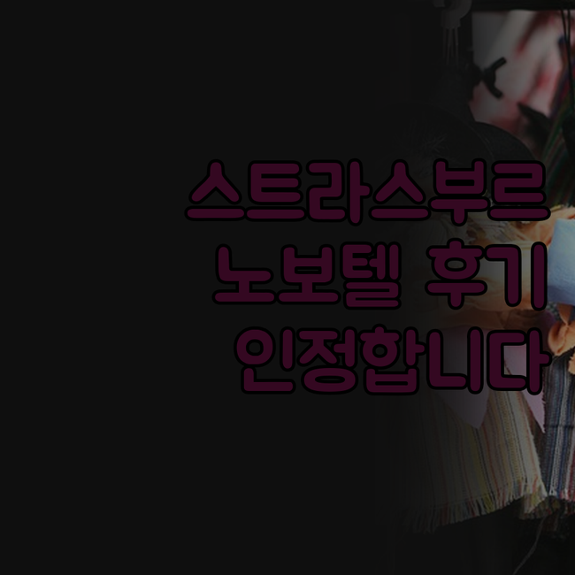 노보텔 스트라스부르 상트르 알, 왜 
