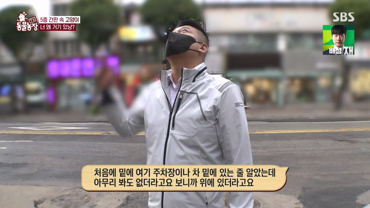 TV 동물농장.E1146.231120p-NEXT.mp4_20231119_175249.248.jpg